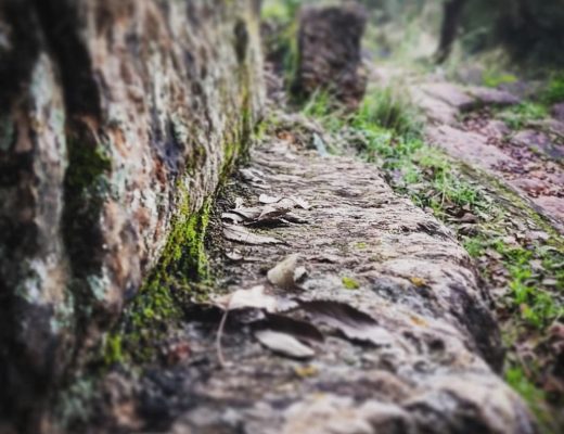 Más detalles de una ruta de senderismo