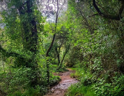 Baños de Popea, arroyo Bejarano - Senderos Cordoba
