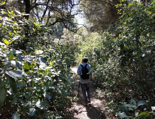 Cordobeando por el arroyo Pedroches